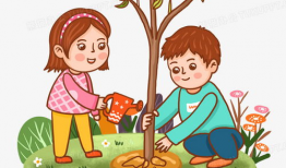 种树的漫画,植树造林，绿色家园的守护者